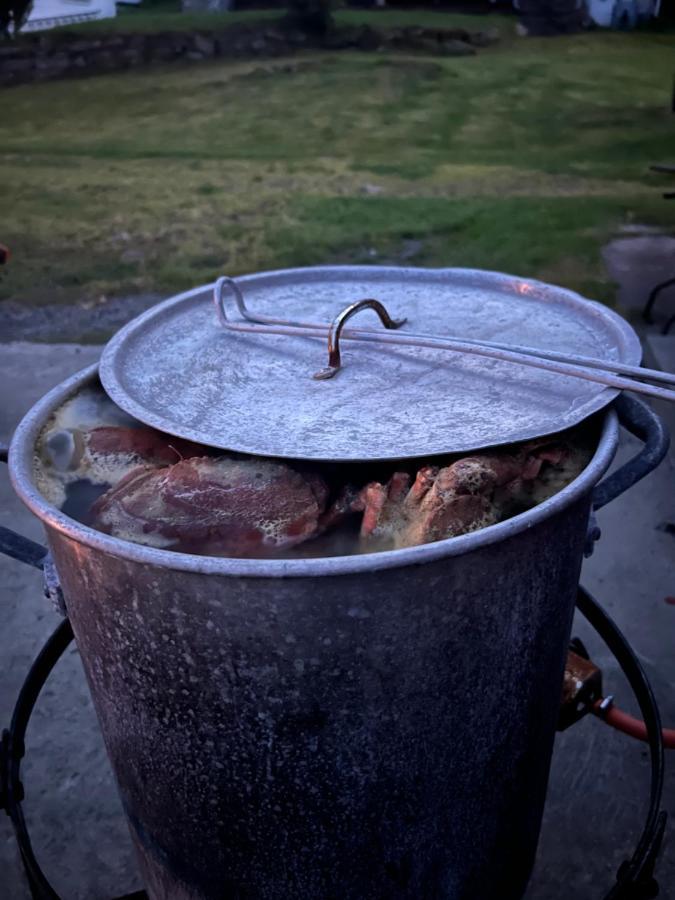 Reistad Ranch Rasvag 外观 照片